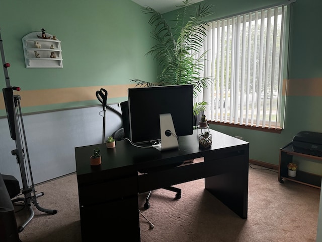 office area featuring carpet floors