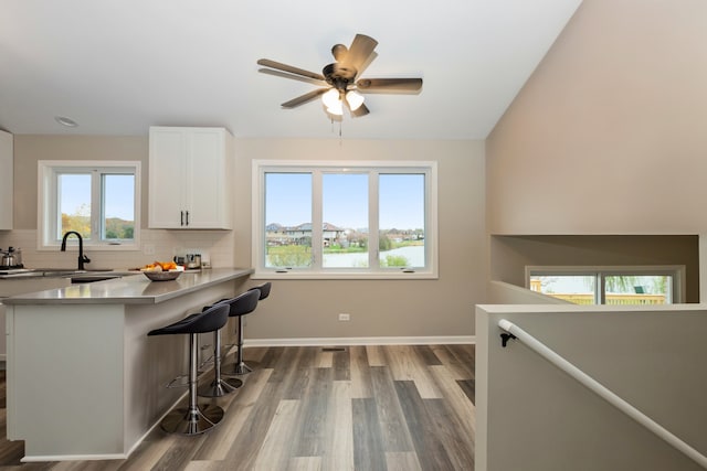 kitchen featuring baseboards, a breakfast bar, decorative backsplash, wood finished floors, and white cabinetry