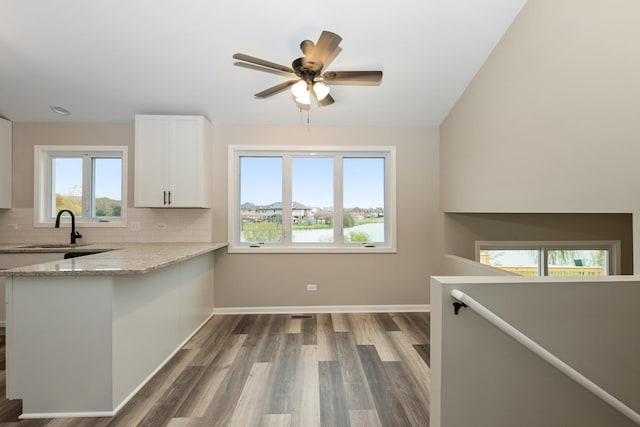 kitchen featuring dark wood-type flooring, light stone counters, decorative backsplash, white cabinetry, and a sink