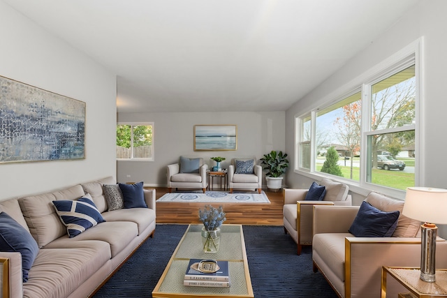 living room featuring dark hardwood / wood-style floors