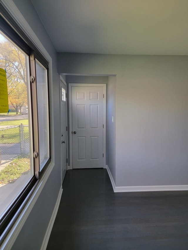 entryway with plenty of natural light and dark hardwood / wood-style flooring