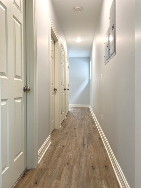 corridor featuring dark hardwood / wood-style flooring