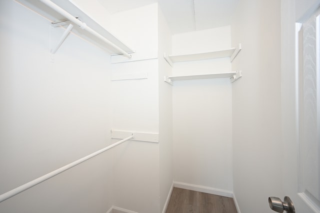 spacious closet with hardwood / wood-style flooring