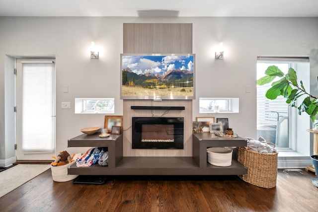 living room with a wealth of natural light and dark hardwood / wood-style floors