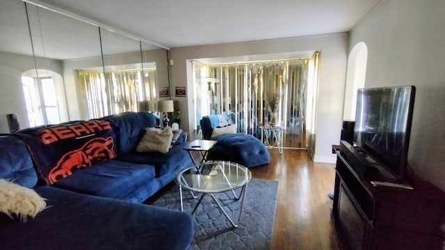 living room with hardwood / wood-style floors