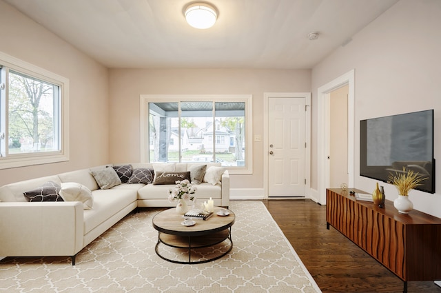 living room with hardwood / wood-style flooring