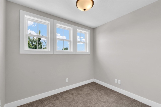 1616 Kassen Ave, Mahomet, IL 61853 - photo 35