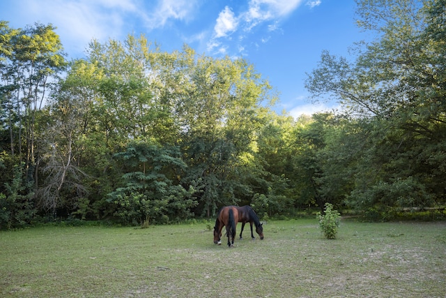 LOT33A W Happy Hollow Rd, Janesville WI, 53546 land for sale