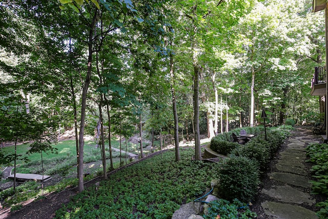 view of yard featuring a balcony