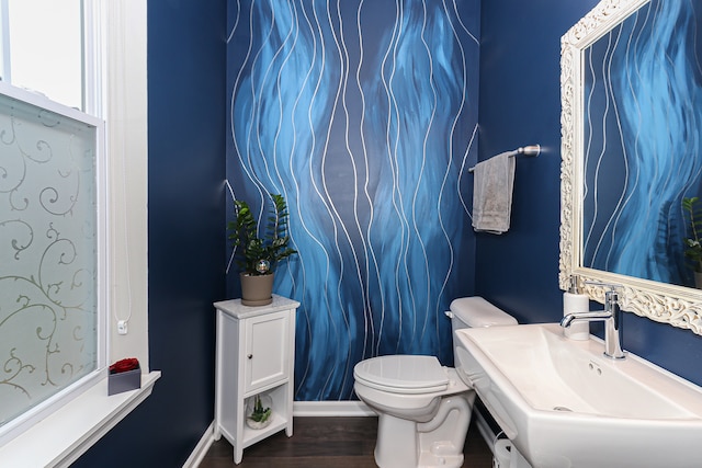 bathroom featuring hardwood / wood-style flooring, toilet, and sink