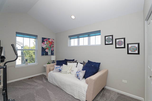 interior space featuring carpet flooring and lofted ceiling