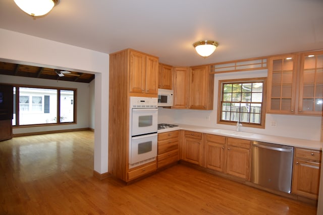 kitchen with light wood-type flooring, sink, ceiling fan, and stainless steel appliances