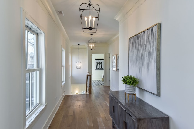 hallway featuring ornamental molding and hardwood / wood-style flooring