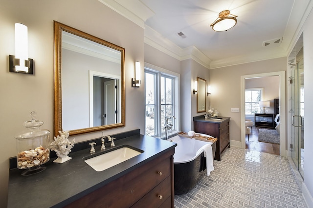 bathroom featuring a bathing tub, crown molding, vanity, and a healthy amount of sunlight