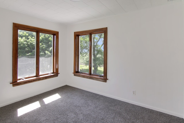 carpeted spare room with plenty of natural light