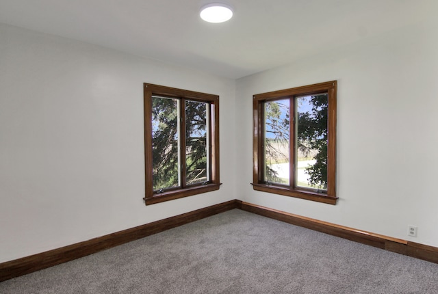 unfurnished room with a healthy amount of sunlight and carpet floors