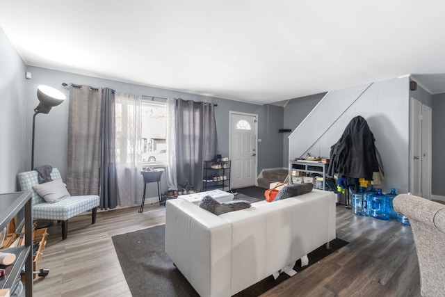 living room featuring wood-type flooring