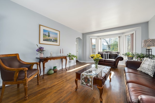 living room featuring dark wood-type flooring