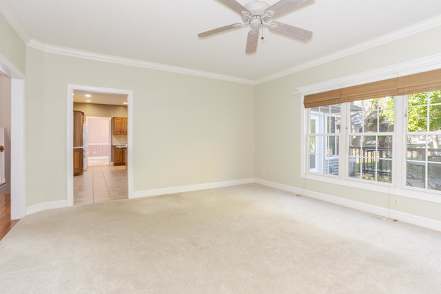 carpeted spare room featuring ceiling fan and crown molding