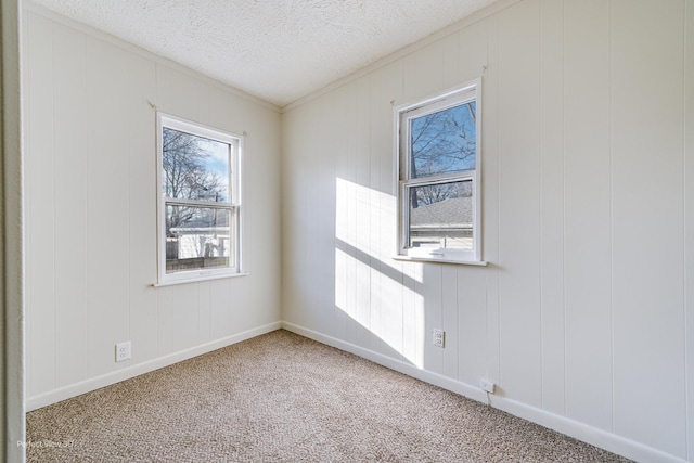 empty room with carpet, a textured ceiling, and wood walls