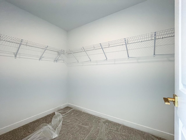 235 Regency Ct Unit B, Wauconda, IL 60084 - view of walk in closet