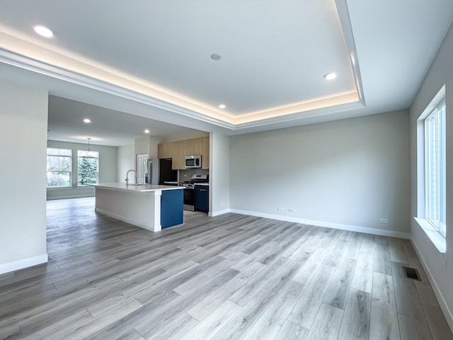 235 Regency Ct Unit B, Wauconda, IL 60084 - kitchen with appliances with stainless steel finishes, open floor plan, a tray ceiling, light wood finished floors, and recessed lighting