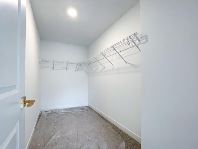 235 Regency Ct Unit B, Wauconda, IL 60084 - view of walk in closet