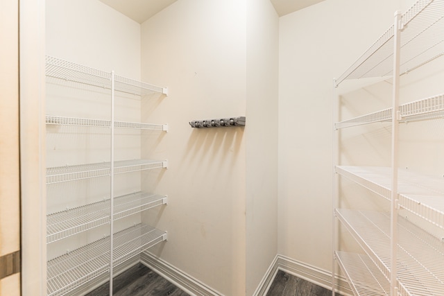 spacious closet featuring wood-type flooring