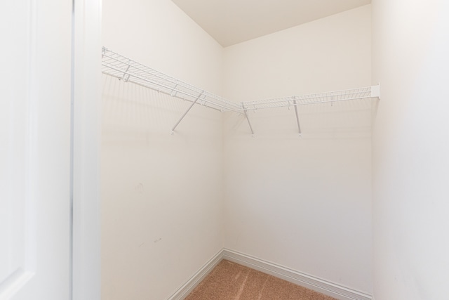 spacious closet with carpet flooring