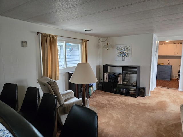 carpeted living room featuring a textured ceiling