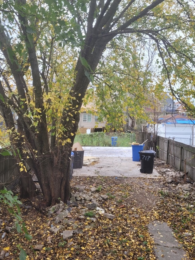 view of yard with a patio area