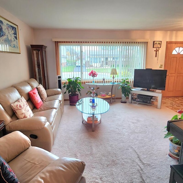 living room featuring carpet floors