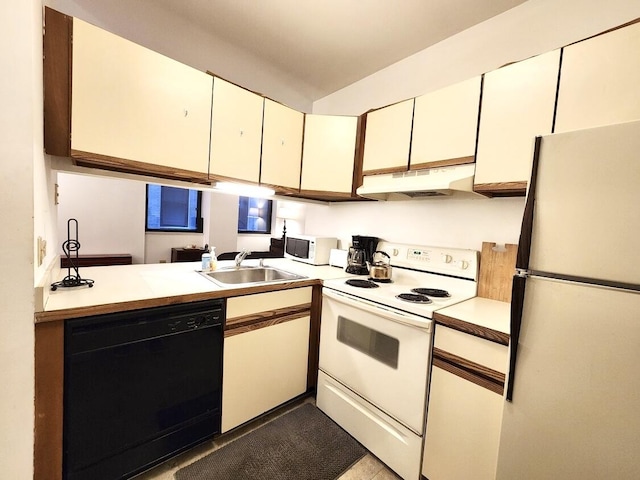 kitchen featuring under cabinet range hood, white appliances, light countertops, and a sink