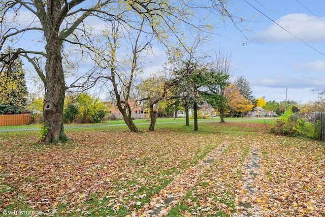 view of yard