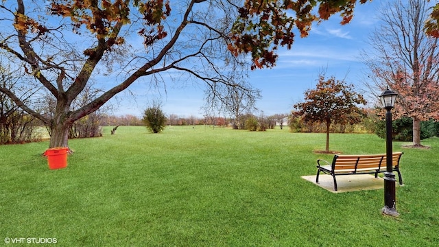 704 Lorraine Cir, Highland Park, IL 60035 - view of green lawn