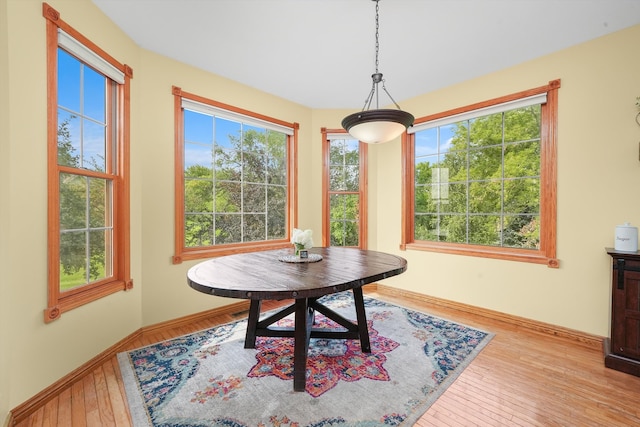 dining space featuring light hardwood / wood-style flooring