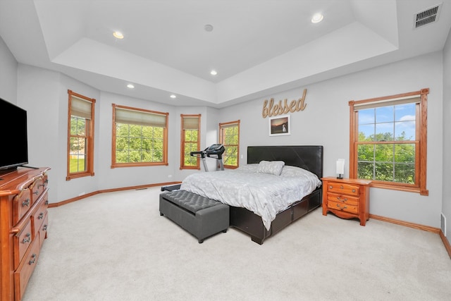 carpeted bedroom with a raised ceiling