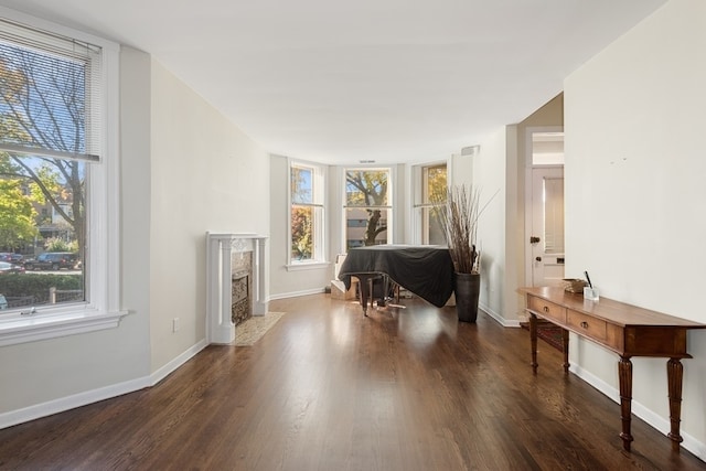 miscellaneous room featuring a fireplace, a wealth of natural light, and dark wood-type flooring