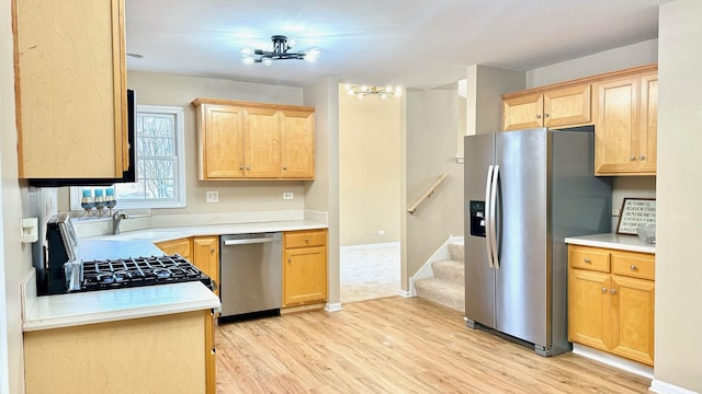 kitchen with light hardwood / wood-style floors, sink, and stainless steel appliances