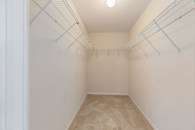 spacious closet featuring light carpet