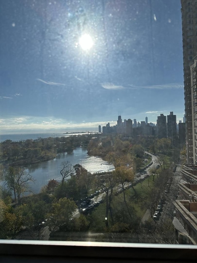 2626 N Lakeview Ave Unit 1503, Chicago, IL 60614 - water view with a view of skyline