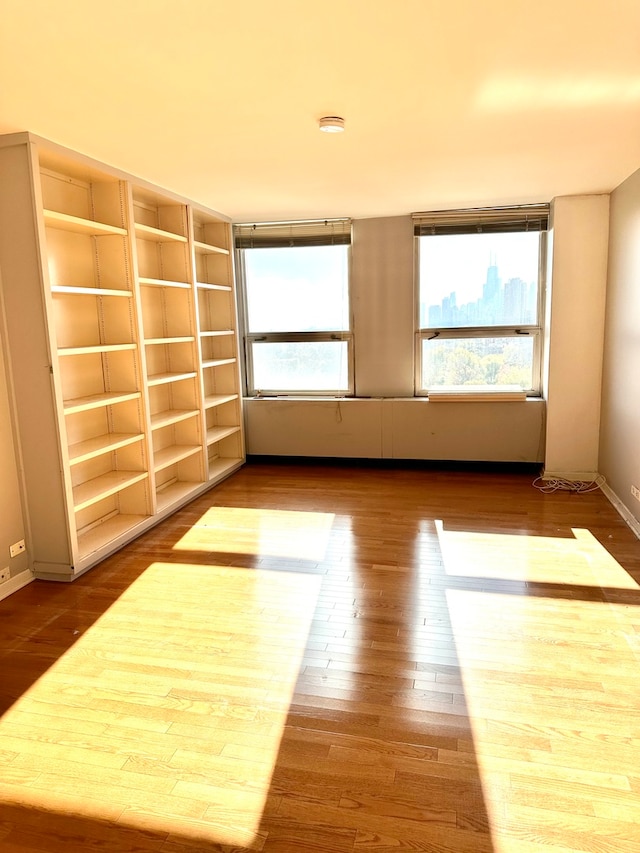 additional living space with wood-type flooring