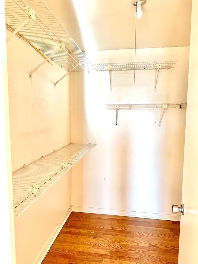 spacious closet with hardwood / wood-style flooring