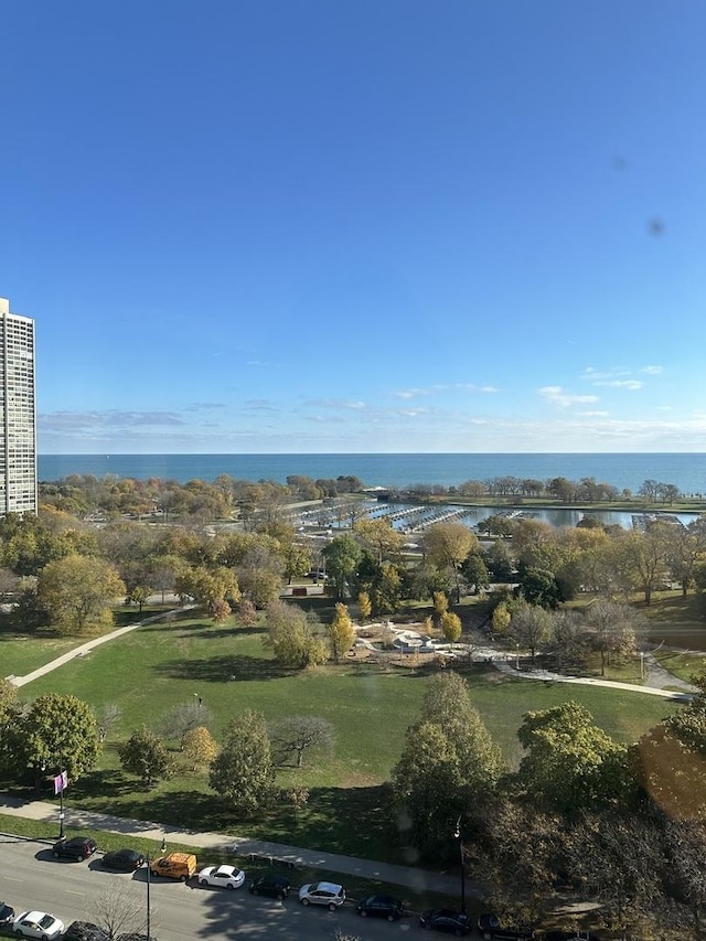 2626 N Lakeview Ave Unit 1503, Chicago, IL 60614 - aerial view of a large body of water