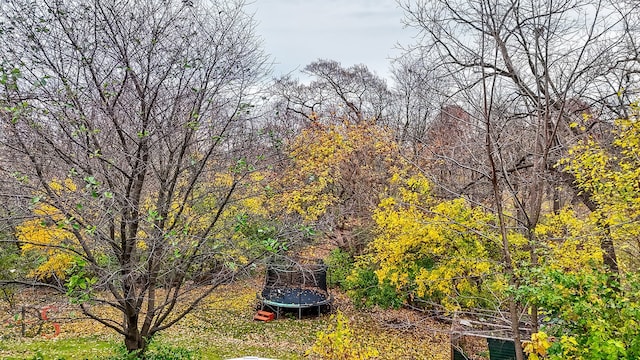 view of yard featuring a trampoline