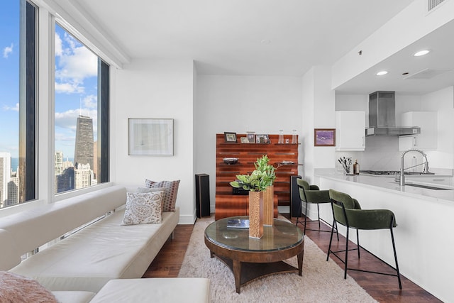 living room featuring dark wood-type flooring, a wealth of natural light, and sink