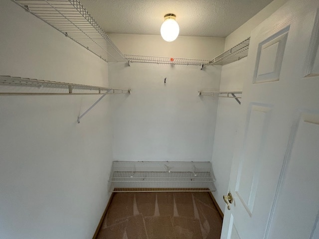 spacious closet with carpet