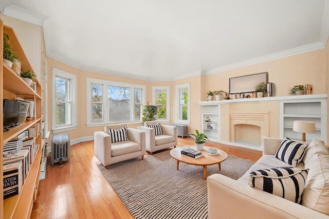 living room with light wood-type flooring, radiator, and ornamental molding