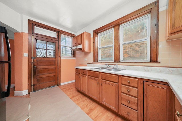 kitchen with backsplash, light hardwood / wood-style floors, black refrigerator, and sink