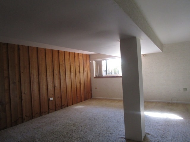 basement featuring carpet